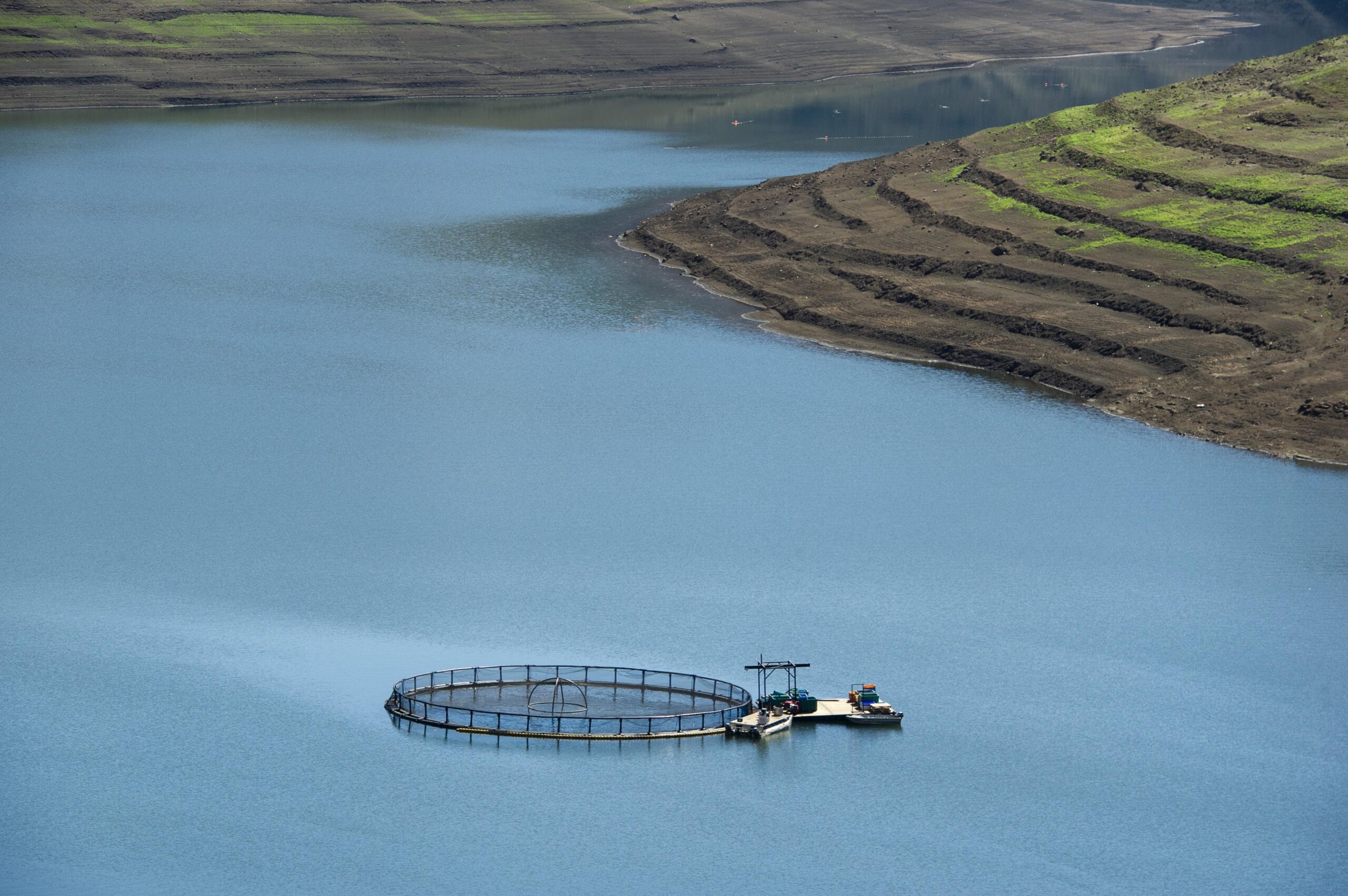 Financing Nature in a Changing Global Context