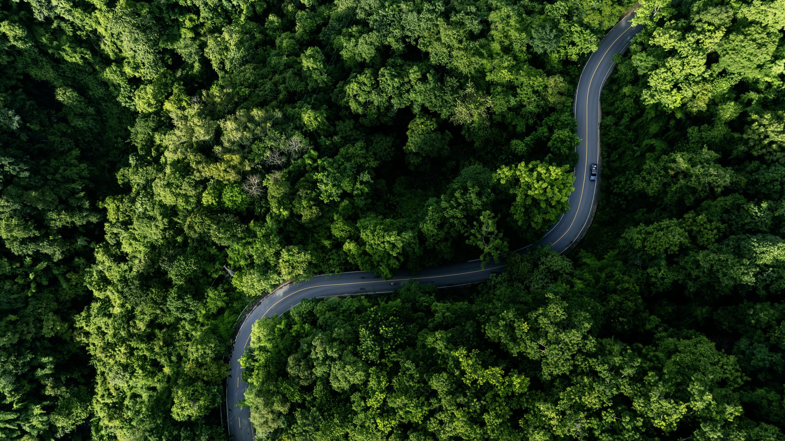 What is Biodiversity Finance