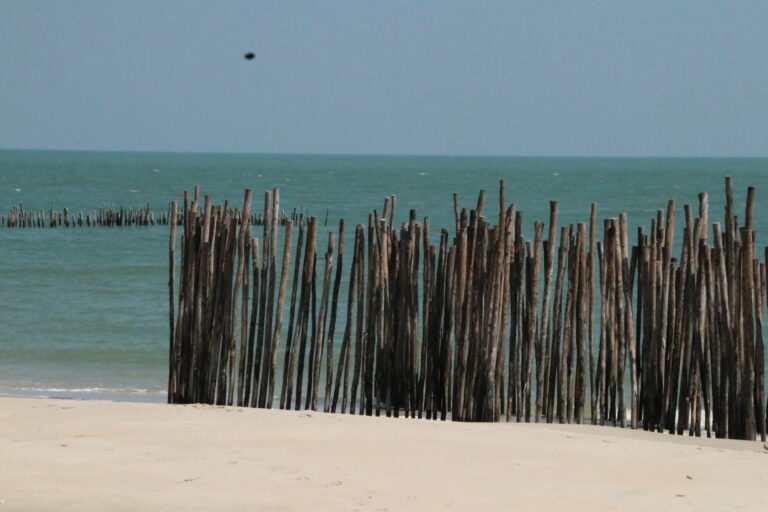 Redesigning harmful subsidies: how Thailand is changing coastal spending to support nature