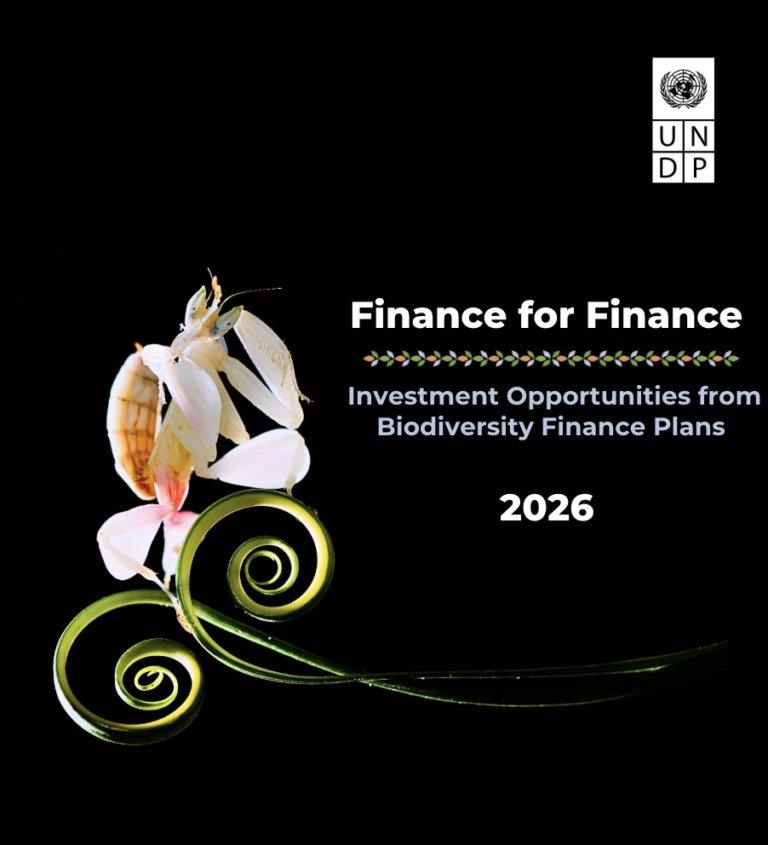 Finance for Finance