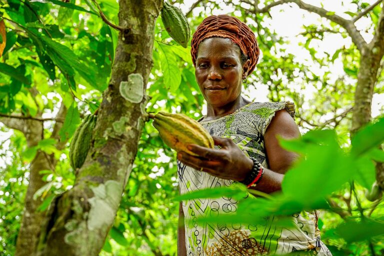 UNDP supports five countries to pioneer integrated climate and nature finance solutions
