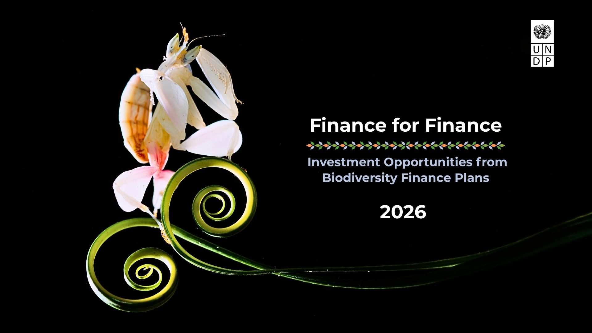 Finance for Finance: Investment Opportunities from Biodiversity Finance Plans 2026