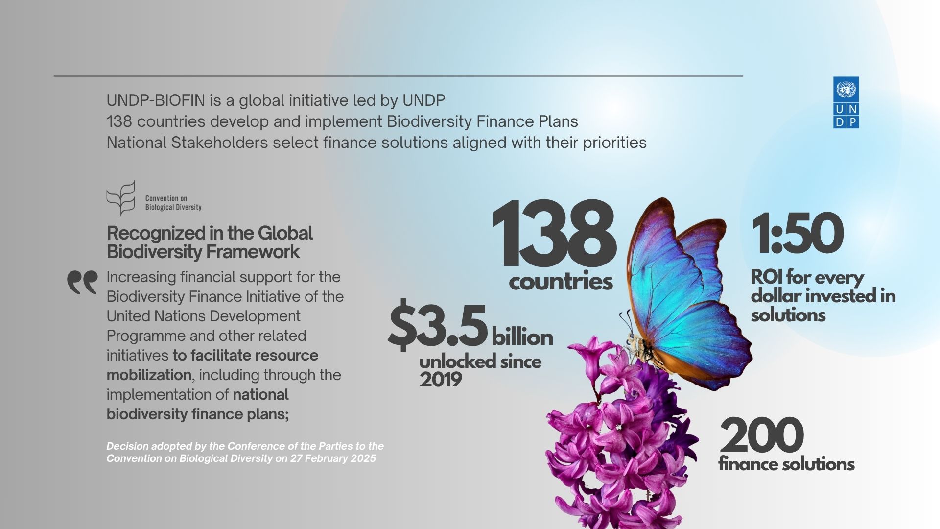 UNDP-BIOFIN: 138 countries develop and implement Biodiversity Finance Plans
