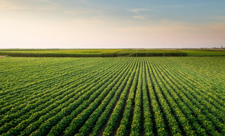 What Are Harmful Subsidies and Positive Incentives?