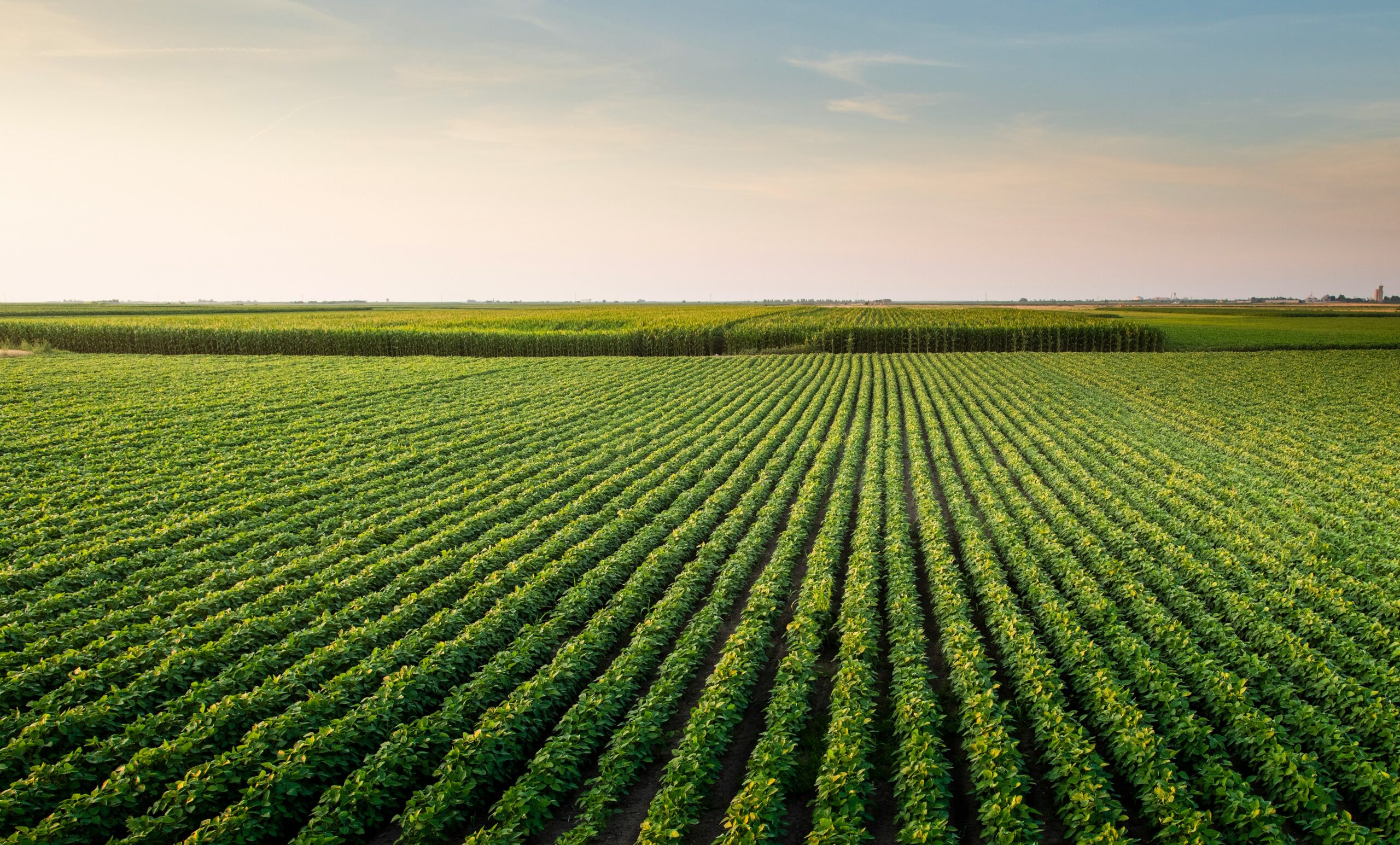 What Are Harmful Subsidies and Positive Incentives?