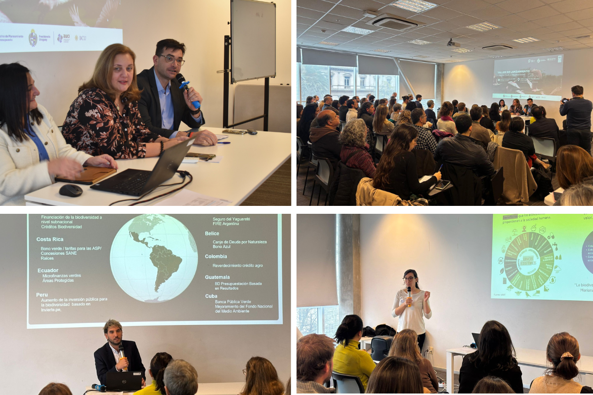 UNDP BIOFIN launches in Uruguay: Advancing innovative biodiversity finance